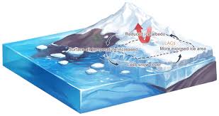 Image result for Withins Tc