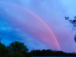 Attēlu rezultāti vaicājumam “Red Rainbows”