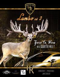 Image result for Big Bucks High Rollers