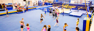 Image result for Uckfield Gymnastics Club