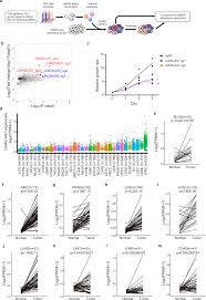 Image result for D.A.R.E!! Development + RadiSense III Y-Axis