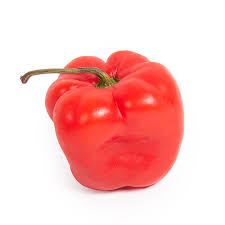 Afbeeldingsresultaat voor red rocoto hot pepper