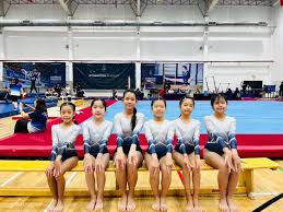 Image result for Harrow School Of Gymnastics