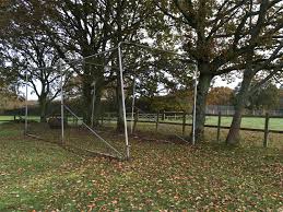 Image result for Lynchmere Cricket Club