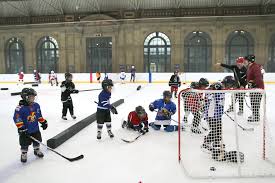 Image result for Haringey Junior Ice Hockey Club