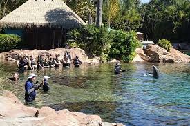 Image result for Discover Swimming