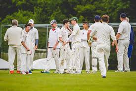 Image result for Tadworth Cricket Club