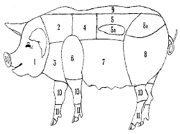 Das Schwein. - schwein