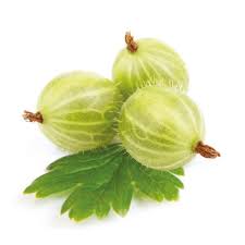 Attēlu rezultāti vaicājumam “Ribes uva-crispa fruit”