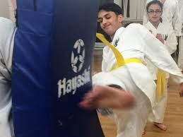 Image result for Windsor Karate Club