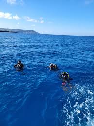 Image result for Darwen Snorkelling Club