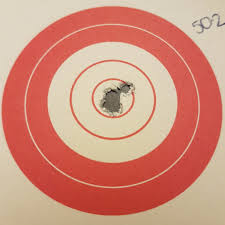 Image result for Darlington RA small-bore and Field target Club