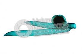 Attēlu rezultāti vaicājumam “Nitella sp.”