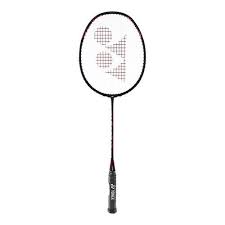Image result for Beginners and Intermediate Badminton