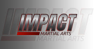 Image result for Impact Martial Arts