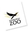 The Edinburgh Pandas Are Planning the Perfect Date – to Mate