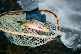 Image result for Kirkham and District Fly Fishers` Club