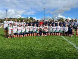 Image result for Lisnaskea Emmetts Gfc