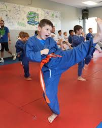 Image result for Skillz Martial Arts