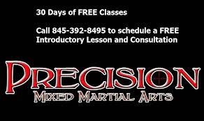 Image result for Precision Martial Arts