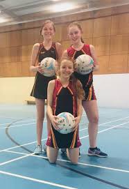 Image result for Huddersfield Giants Netball Club