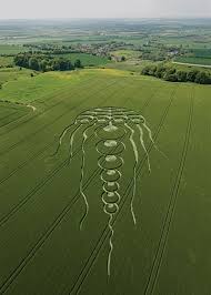 Image result for crop circle