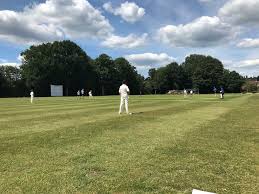 Image result for Halstead Colts Cricket Club