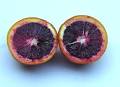 Moro Blood Orange - Citrus sinensis '