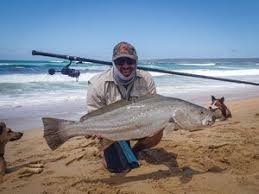 Image result for Argyrosomus coronus