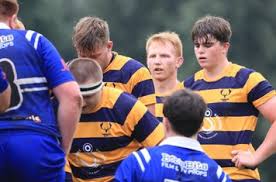 Image result for Hemel Hempstead Rugby League Football Club