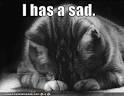 hastac.org has a sad | HASTAC