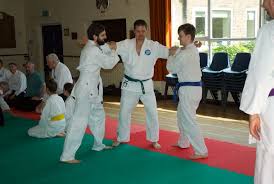 Image result for Ryusui-ryu Martial Arts School East Grinstead