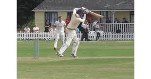 Image result for Halstead Colts Cricket Club