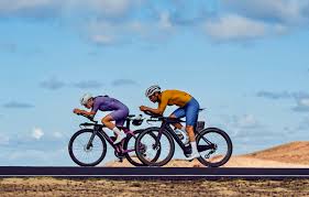 Image result for Team Viper Triathlon Team