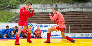 Image result for Combat Sambo