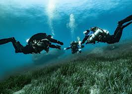 Image result for Le Clique Divers