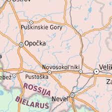 Attēlu rezultāti vaicājumam “Licea pusilla sessile”