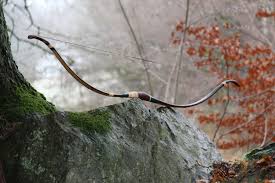 Image result for Orion Bowhunters