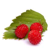 Attēlu rezultāti vaicājumam “Fragaria vesca fruit”