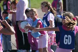 Image result for Charlestown/Adelphi Netball Club