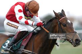 Image result for Liverpool Equestrian Club