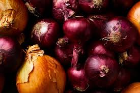 Image result for Zwiebeln