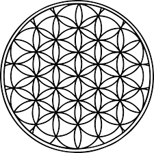 Image result for life flower