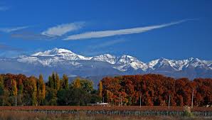 ¡¡¡OTOÑO EN MENDOZA!!! Images?q=tbn:ANd9GcTg4wH7k2qIuuieKEua58DbnBvE_Ha1Wj5P71a-mdj4A650Ujo0zQ