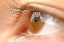All Info About EYE HEALTH VISION | EYE HEALTH VISION Guide ...