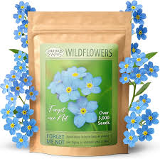 Attēlu rezultāti vaicājumam “Myosotis sylvatica”