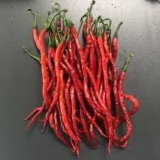 Afbeeldingsresultaat voor biker billy jalapeno hot pepper