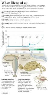 Image result for Cambrian Centre for Activity