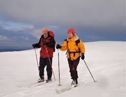 Image result for Tyneside Loipers