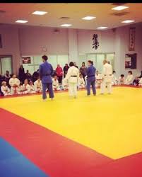 Image result for Beith Judo Club
